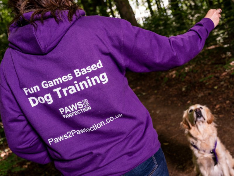 Training Workshops 1