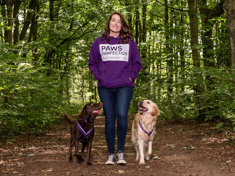 Dog Training 1