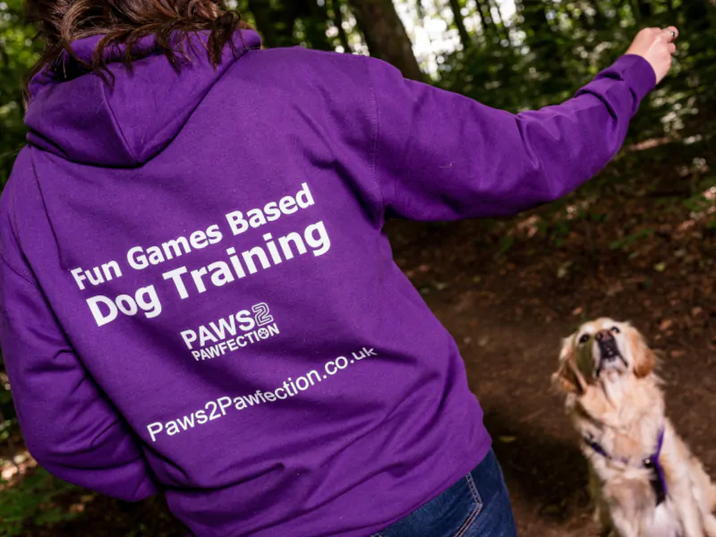 Training Workshops 1